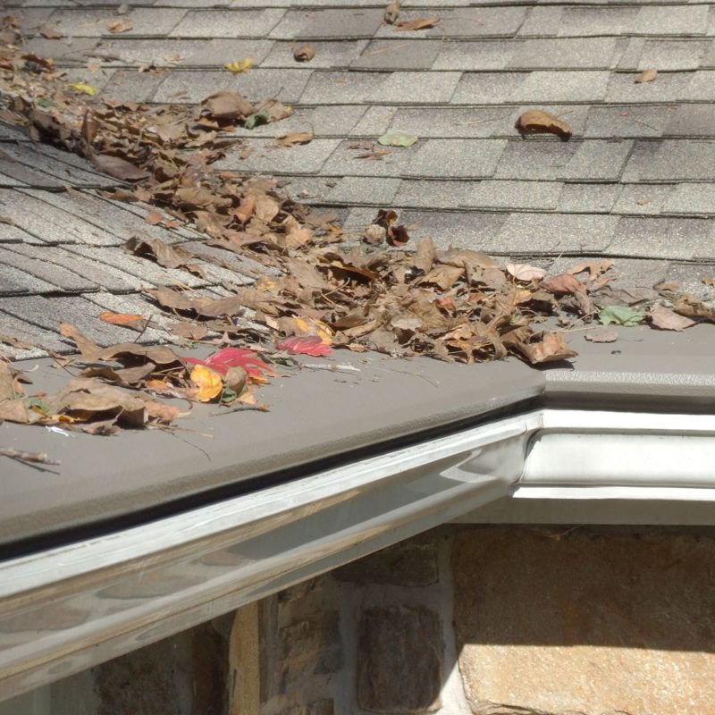 roof-cleaning